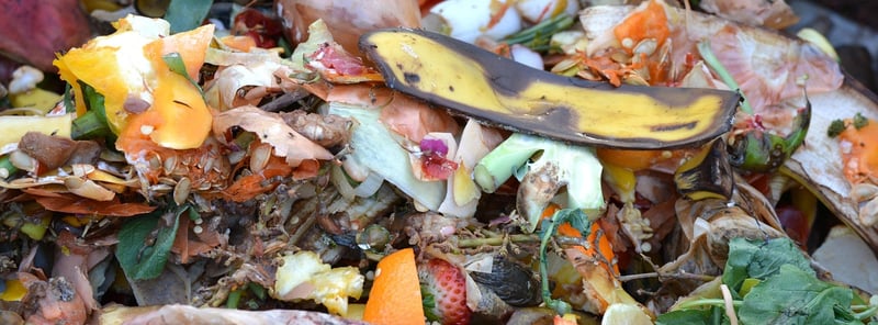 Compact Compost Bins