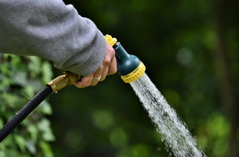 Indoor Gardening Tools