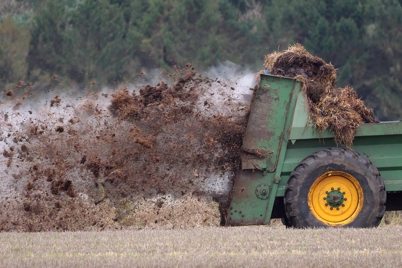 Organic Fertilizer Production